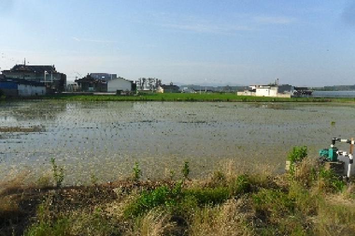전북특별자치도 고창군 상하면 장호리 817 전 경매 사진 13