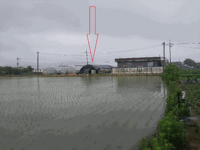 전북특별자치도 고창군 상하면 장호리 817 전 경매 사진 2