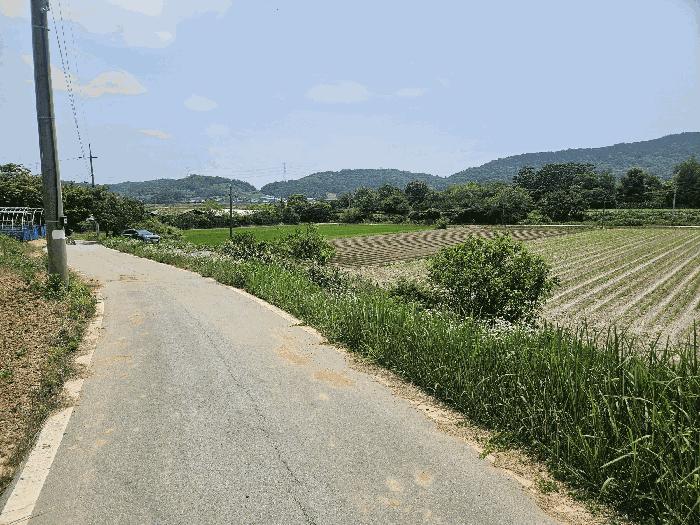 전북특별자치도 정읍시 덕천면 상학리 842 답 경매 사진 2