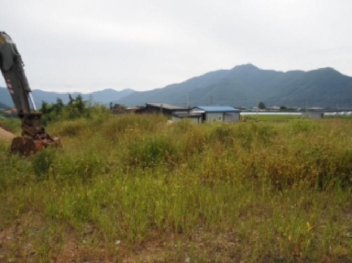 경상남도 밀양시 산외면 금천리 467-2 답 경매 사진 5