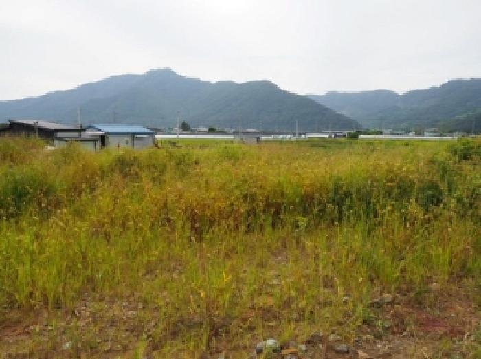경상남도 밀양시 산외면 금천리 467-2 답 경매 사진 7
