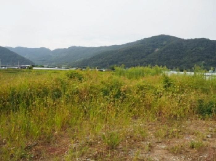 경상남도 밀양시 산외면 금천리 467-2 답 경매 사진 8