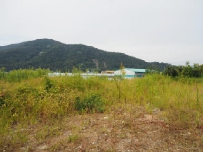경상남도 밀양시 산외면 금천리 467-2 답 경매 사진 9