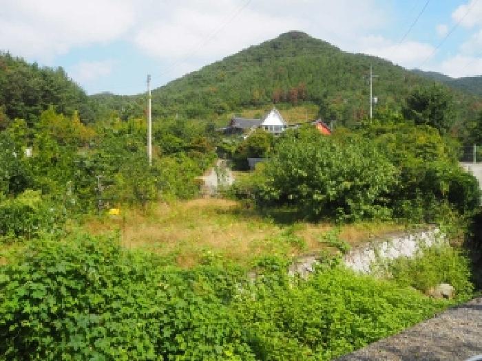 경상남도 밀양시 삼랑진읍 율동리 25 주택 경매 사진 12