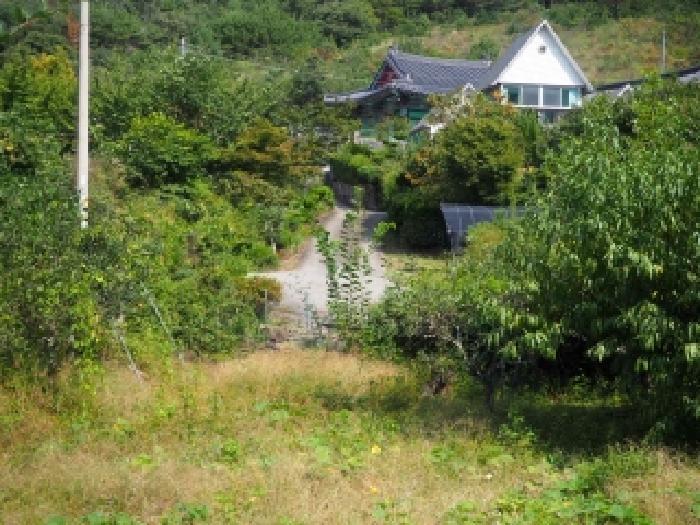 경상남도 밀양시 삼랑진읍 율동리 25 주택 경매 사진 13