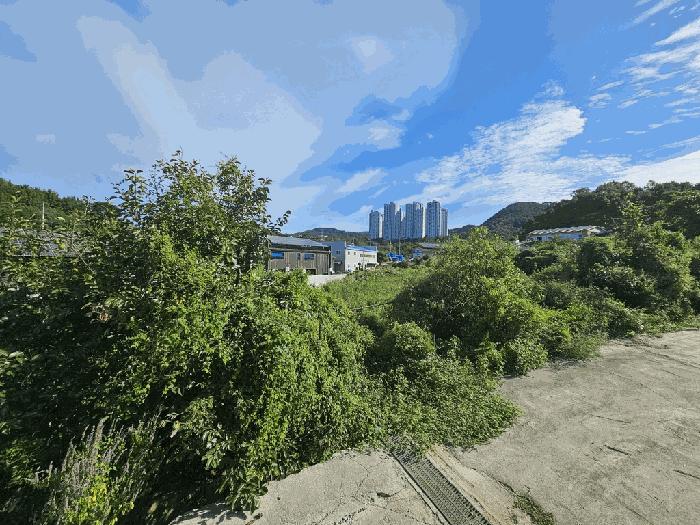 전라남도 광양시 광양읍 용강리 133-39 답 경매 사진 2