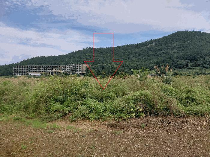 전북특별자치도 부안군 변산면 도청리 359 전 경매 사진 3