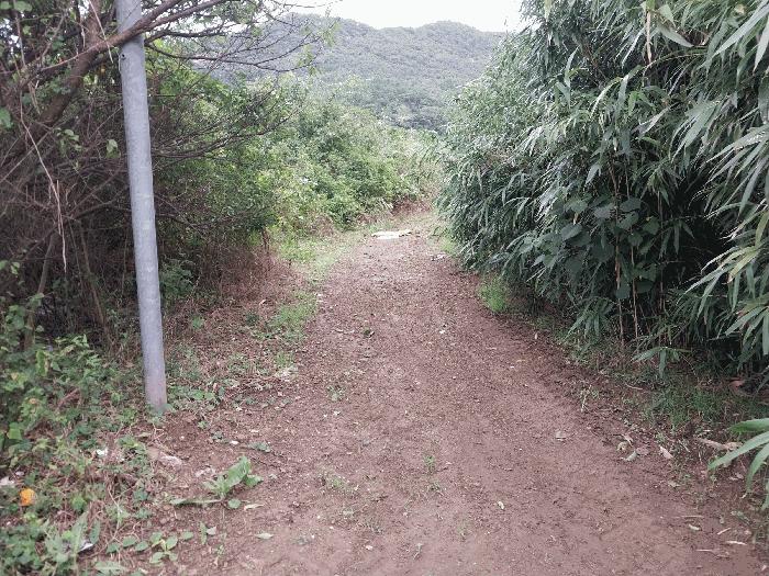 전북특별자치도 부안군 변산면 도청리 359 전 경매 사진 6