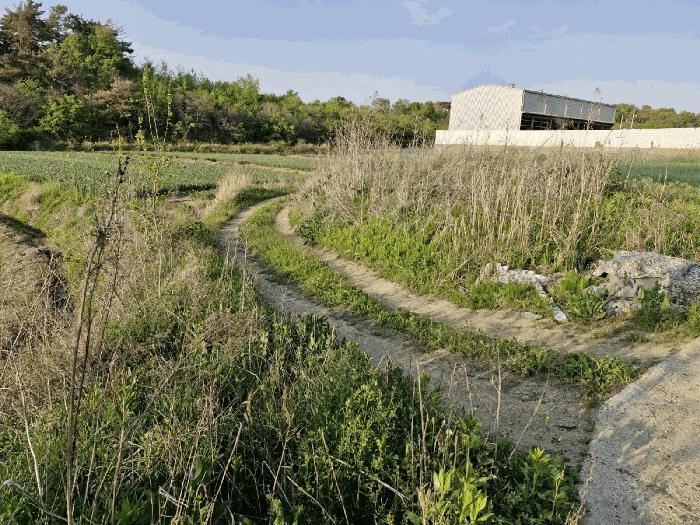경상남도 창녕군 대합면 모전리 558 전 경매 사진 11