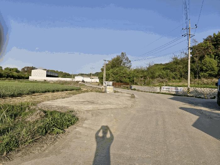 경상남도 창녕군 대합면 모전리 558 전 경매 사진 13