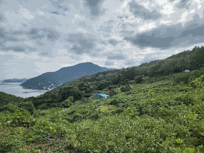 전라남도 여수시 만흥동 산18 임야 경매 사진 4