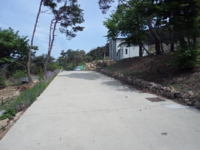 경상남도 밀양시 상동면 매화리 산80-9 임야 경매 사진 2