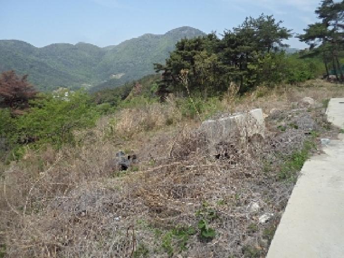 경상남도 밀양시 상동면 매화리 산80-9 임야 경매 사진 4