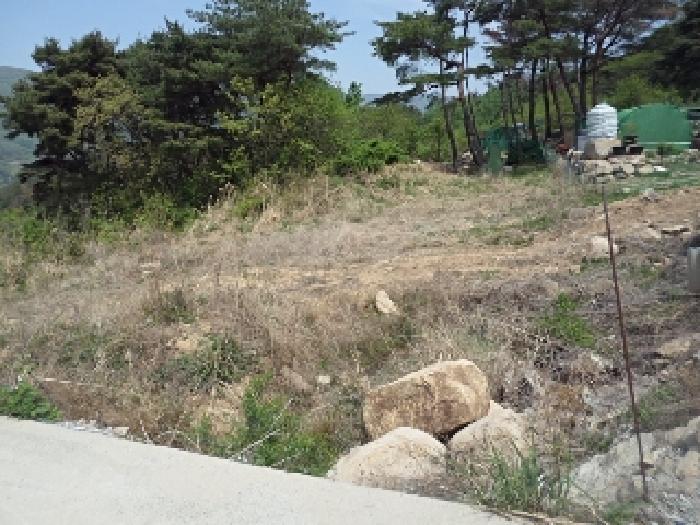 경상남도 밀양시 상동면 매화리 산80-9 임야 경매 사진 7