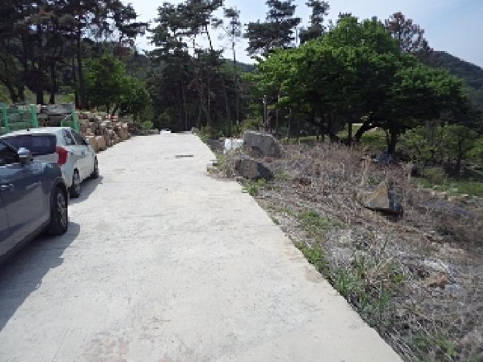 경상남도 밀양시 상동면 매화리 산80-9 임야 경매 사진 8