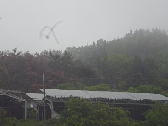 경상남도 창녕군 대지면 창산리 600 답 경매 사진 11