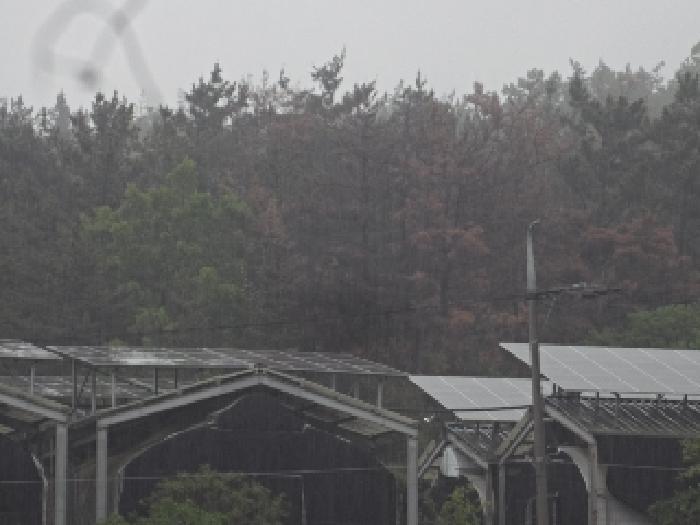 경상남도 창녕군 대지면 창산리 600 답 경매 사진 12