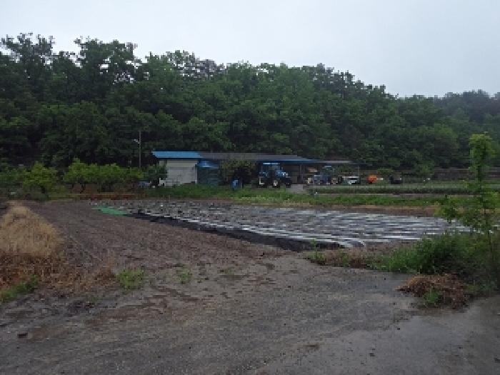 경상남도 창녕군 대지면 창산리 600 답 경매 사진 19