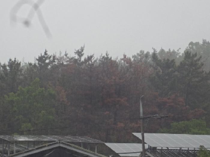경상남도 창녕군 대지면 효정리 1576-4 답 경매 사진 13