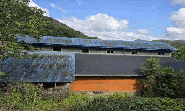 경상남도 밀양시 무안면 삼태리 54 대지 경매 사진 8