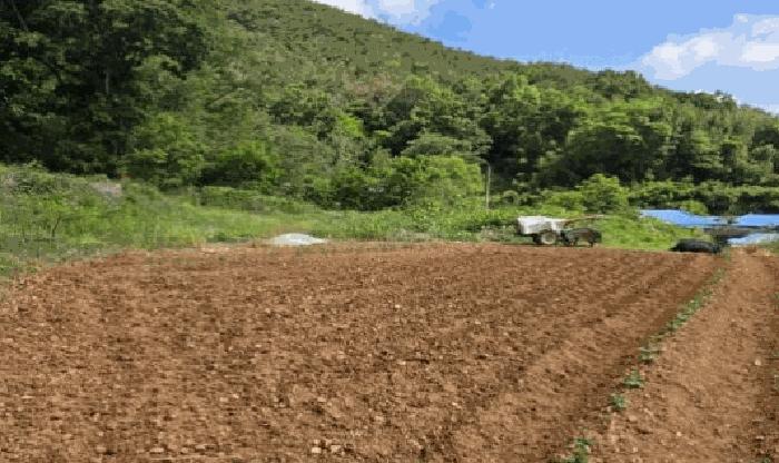 경상남도 밀양시 무안면 마흘리 1040 대지 경매 사진 19