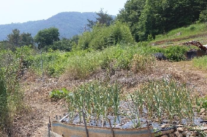 경상남도 밀양시 무안면 마흘리 1040 대지 경매 사진 33