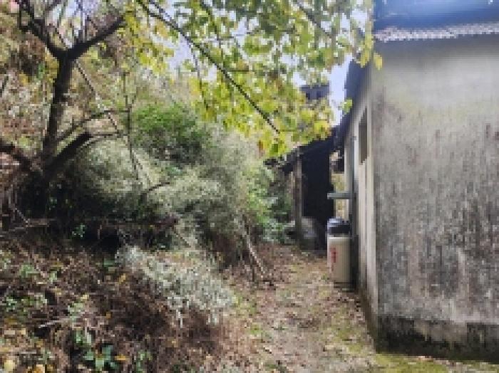 전라남도 순천시 상사면 쌍지리 217 대지 경매 사진 16