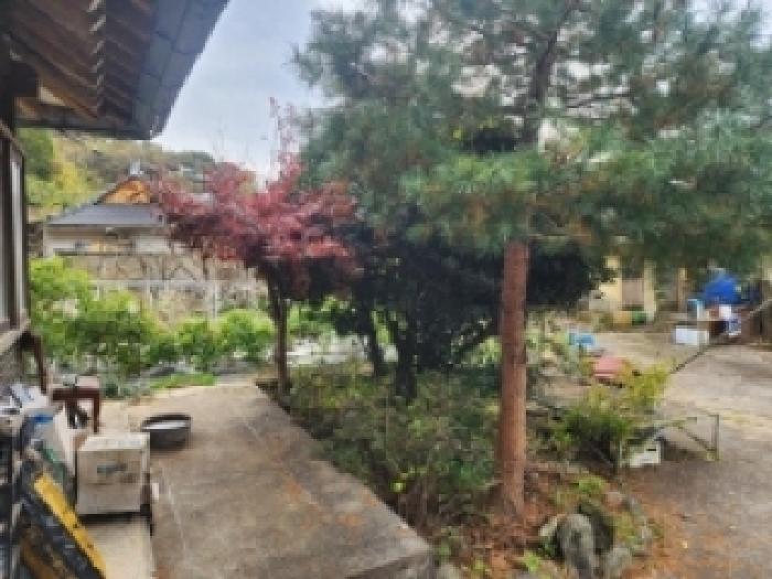 전라남도 순천시 상사면 쌍지리 217 대지 경매 사진 30