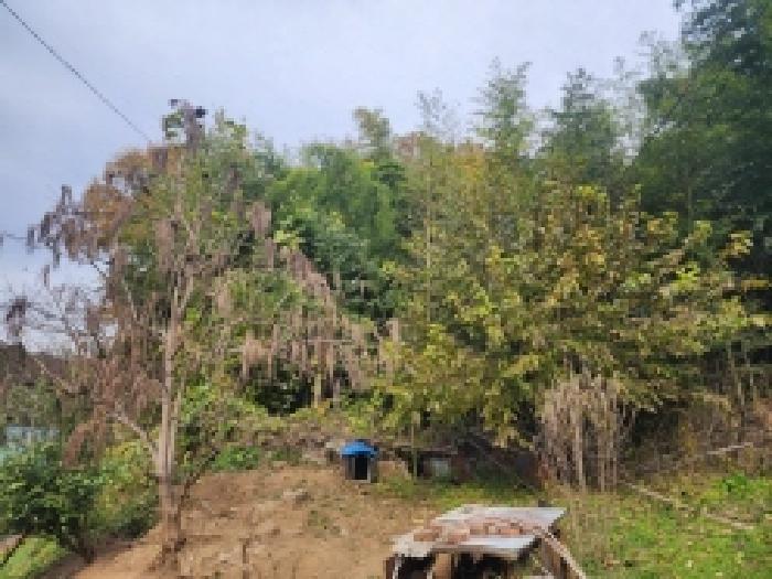 전라남도 순천시 상사면 쌍지리 217 대지 경매 사진 32