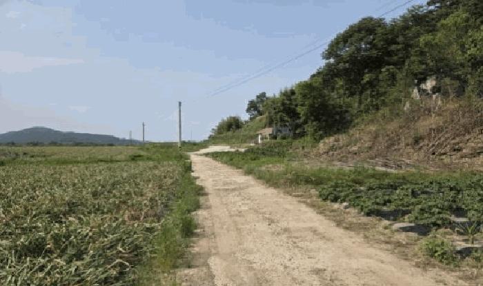 경상남도 창녕군 남지읍 시남리 807 전 경매 사진 1