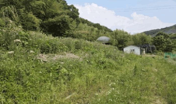 경상남도 창녕군 남지읍 시남리 807 전 경매 사진 3
