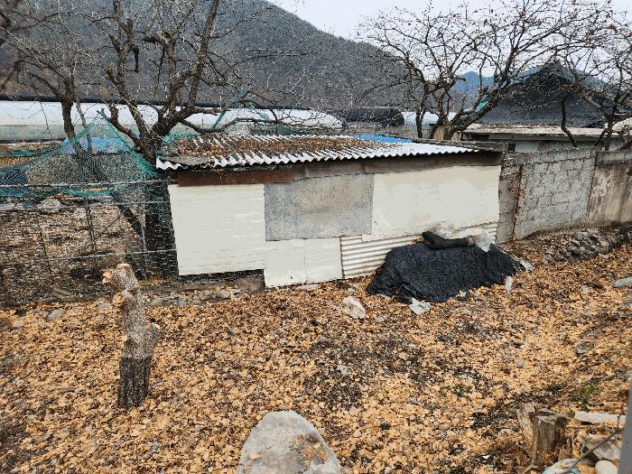 경상남도 밀양시 청도면 인산리 706 주택 경매 사진 4