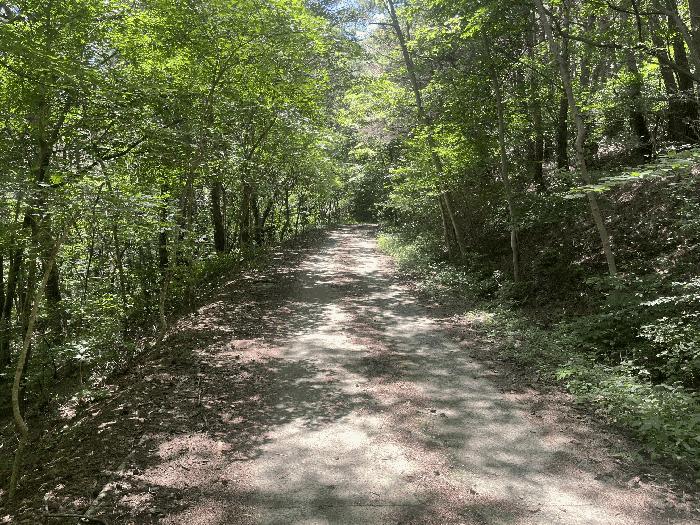 경상남도 창녕군 성산면 대산리 609-2 임야 경매 사진 1