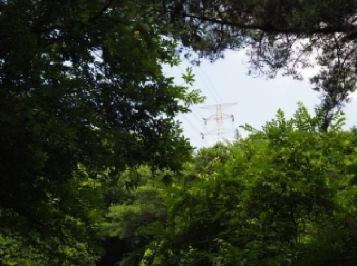 경상남도 창녕군 성산면 대산리 609-2 임야 경매 사진 12