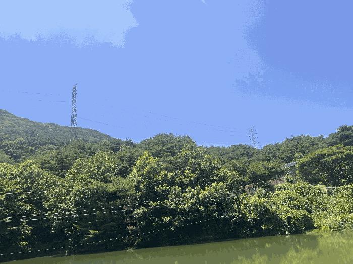 경상남도 창녕군 성산면 대산리 609-2 임야 경매 사진 2