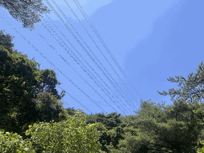 경상남도 창녕군 성산면 대산리 609-2 임야 경매 사진 3