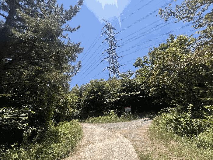 경상남도 창녕군 성산면 대산리 609-2 임야 경매 사진 6
