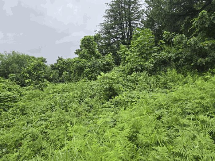 경상남도 밀양시 전