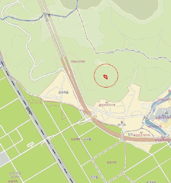 경상남도 밀양시 삼랑진읍 임천리 313 전 경매 사진 5
