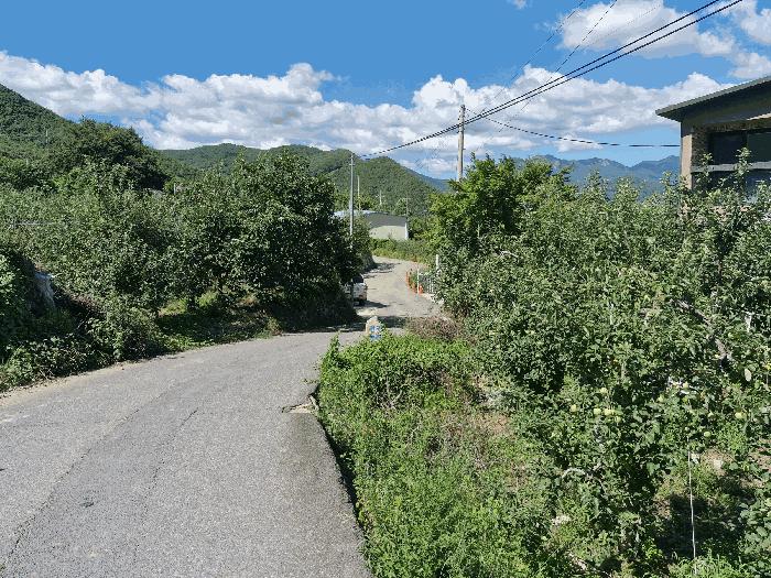 경상남도 밀양시 산내면 용전리 868-3 펜션(캠핑장) 경매 사진 12
