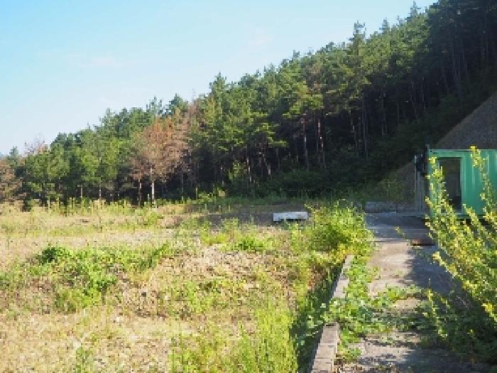 경상남도 창녕군 부곡면 온정리 산45-11 임야 경매 사진 3
