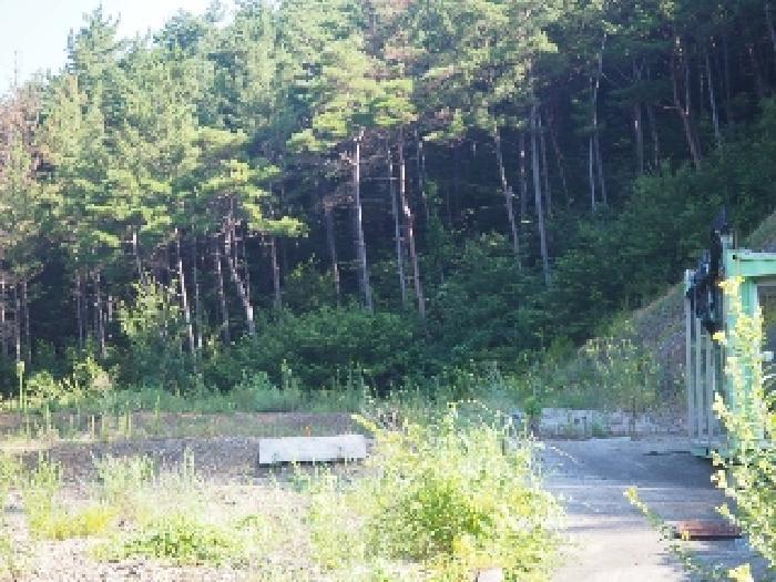 경상남도 창녕군 부곡면 온정리 산45-11 임야 경매 사진 5