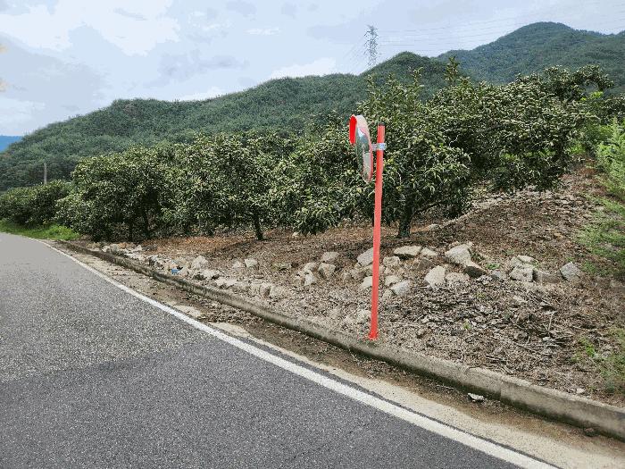 경상남도 밀양시 상동면 고정리 197-1 답 경매 사진 2