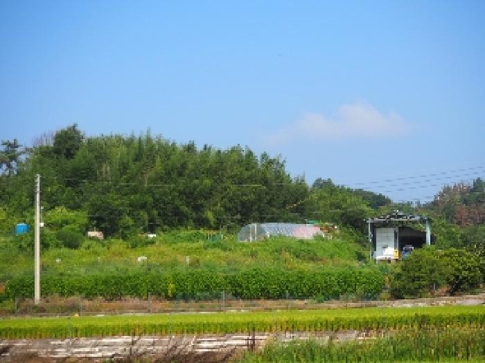 경상남도 창녕군 대지면 용소리 302 전 경매 사진 5