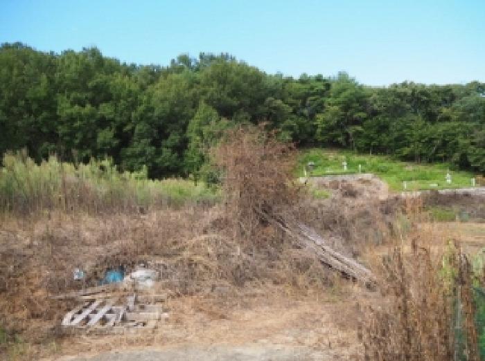 경상남도 밀양시 부북면 용지리 328 전 경매 사진 7