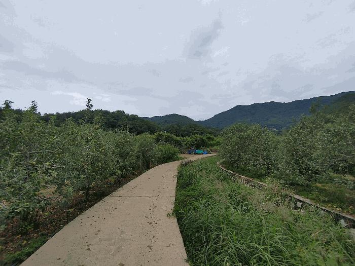 경상남도 밀양시 산내면 봉의리 1114 답 경매 사진 3
