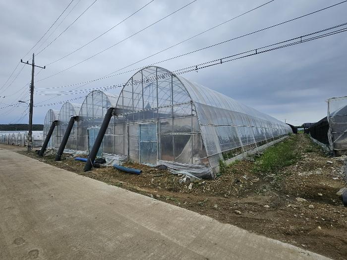 경기도 고양시 덕양구 관산동 702 답 경매 사진 2
