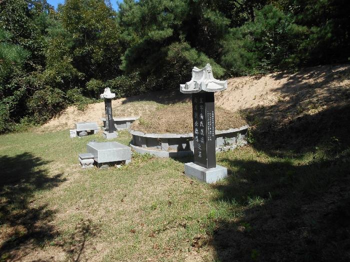 경기도 김포시 월곶면 갈산리 산88-6 임야 경매 사진 3
