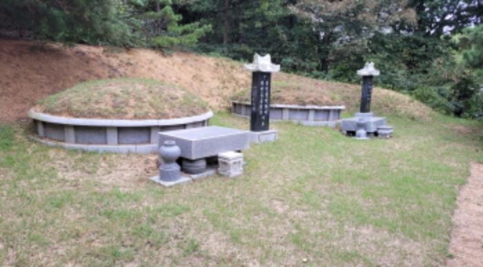 경기도 김포시 월곶면 갈산리 산88-6 임야 경매 사진 4
