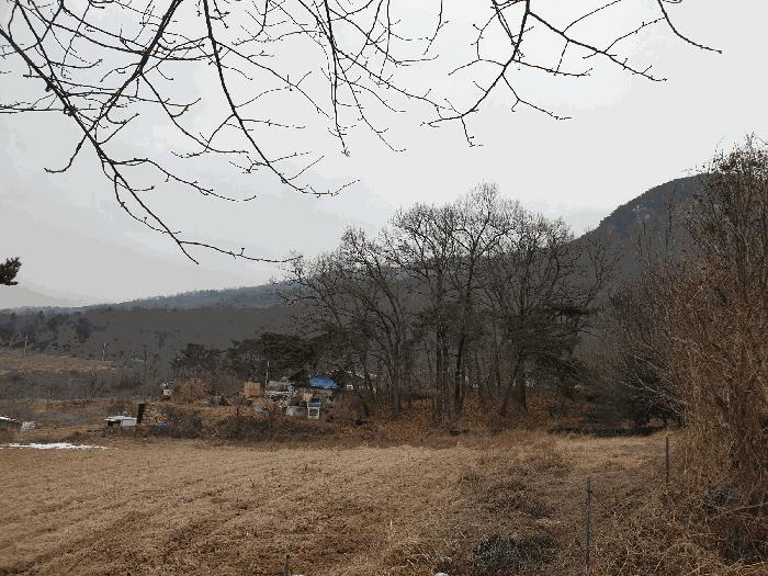 인천광역시 강화군 내가면 오상리 산69 임야 경매 사진 3